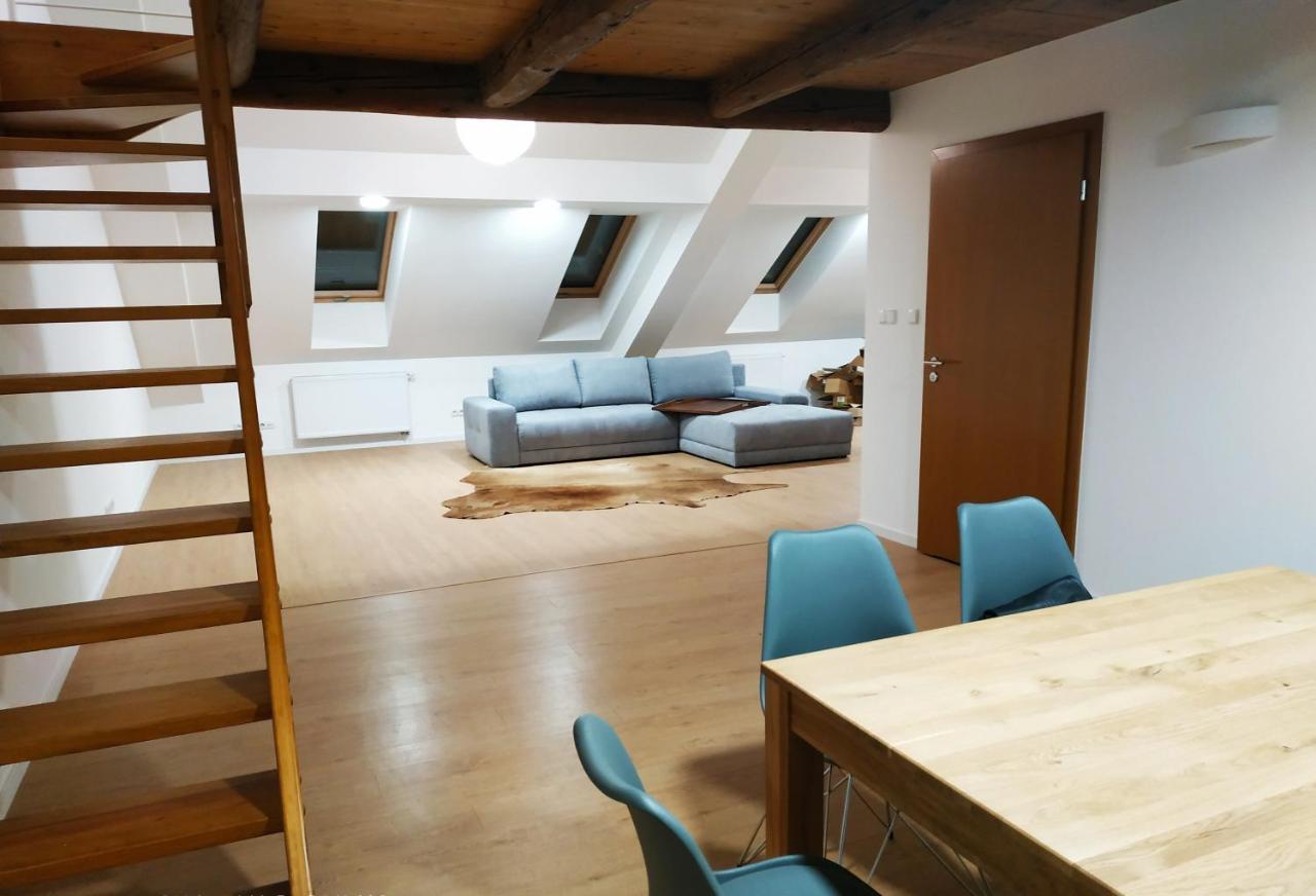 Apartament"Nad Niwka 6" Z Zamykanym Bezplatnym Parkingiem Μπιέλσκο-Μπιάλα Εξωτερικό φωτογραφία